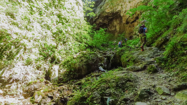 Nach dem Ausstieg aus der Felsschlucht wird der Weg fast dschungelartig grün