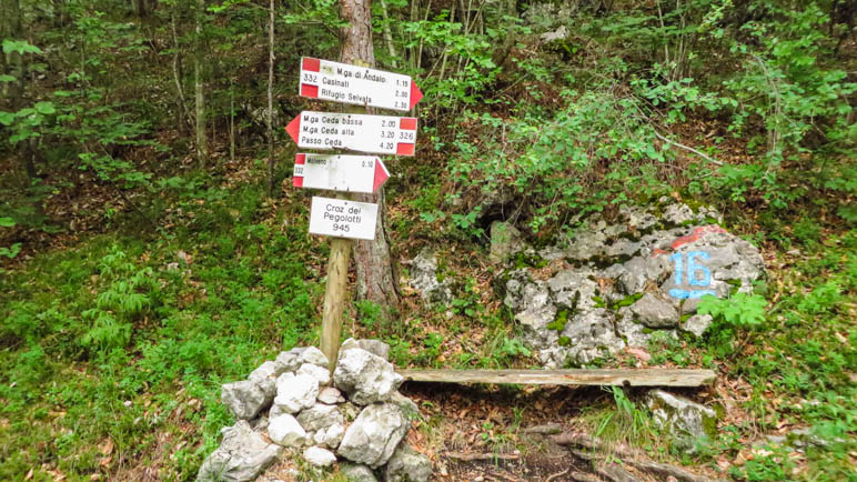 Kurz nach dem Start der Wanderung. Immer auf dem Weg 332 bergauf