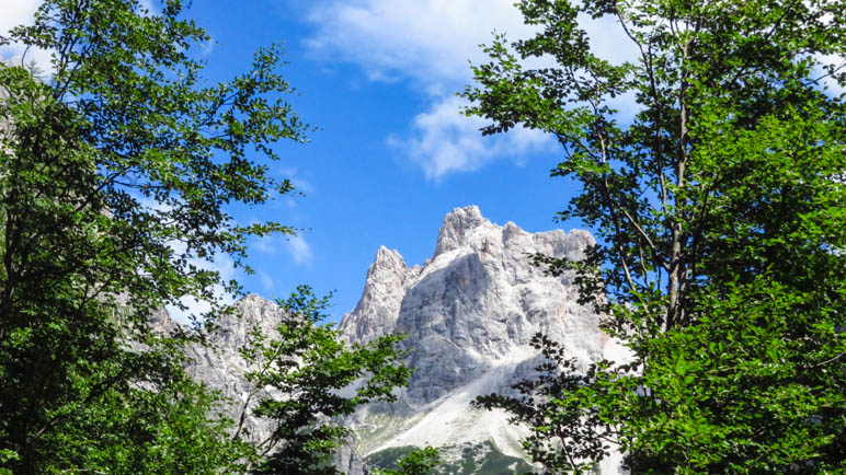 Zwischen den Bäumen zeigen sich die Felsberge der Brenta-Dolomiten