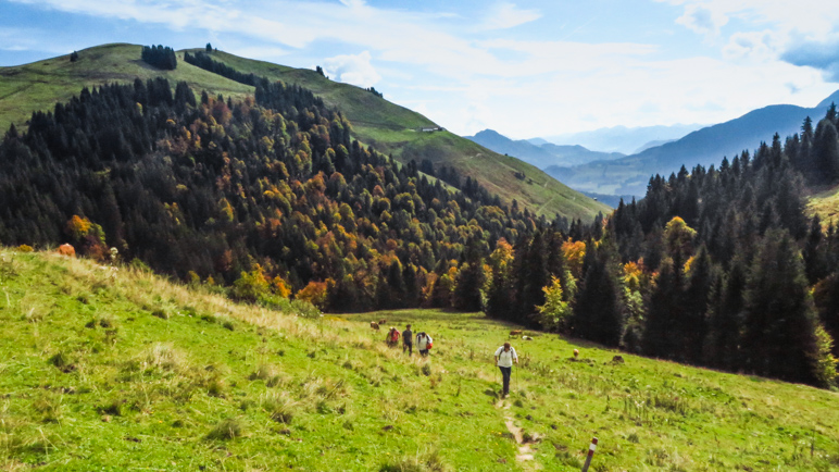 Die letzten Meter hinauf zur Burgeralm führen über Almwiesen