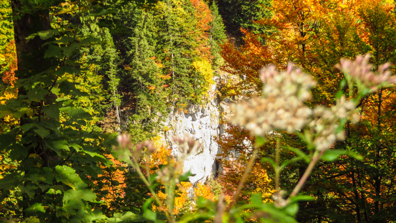 Am Rand des Weges haben wir einen schönen herbstlichen Blick auf eine kleine Felswand