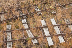 Schienen der Moorbahn