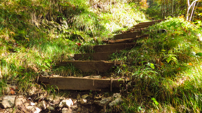 Einige Treppenstufen führen auf dem Weg bergauf