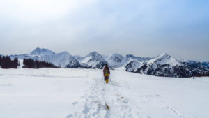 Dann doch lieber so. Wintererlebnis am Schönkahler, auch in den Allgäuer Alpen