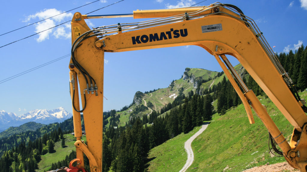 Schau nur, eine Gelbbauchraupe. Die soll jetzt wieder überall in den Alpen heimisch werden (hier am Brauneck)