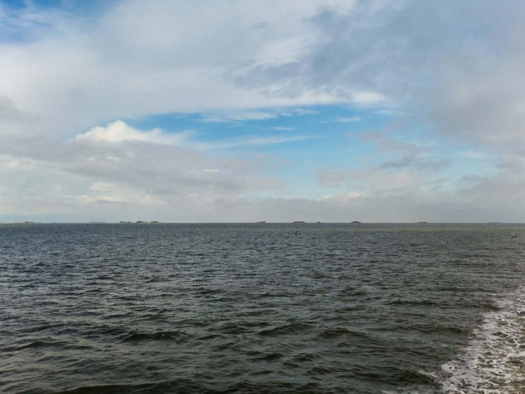 Die Hallig Langeness in der Nordsee