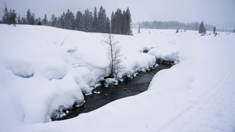 Der kleine Bach an der Winklmoosalm