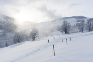 Gegen die Sonne