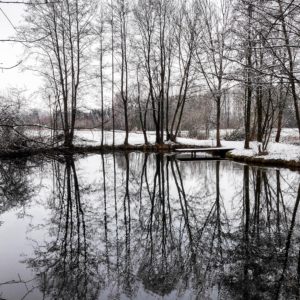 Ein Weiher im Schwabener Moos