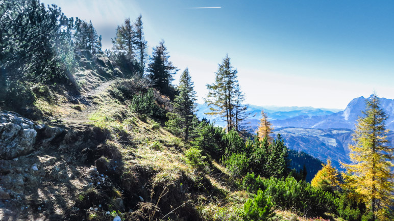 Auf dem Aufstiegsweg zum Fellhorn-Gipfel