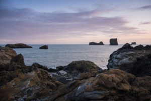 Die dem Dyrhólaey vorgelagerten Felsen im Abendlicht