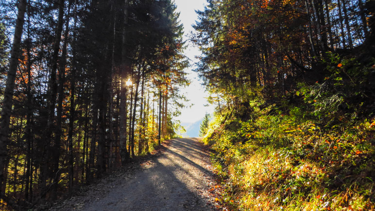 Aufstieg durch den Herbstwald