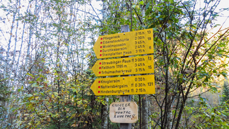 Wandermöglichkeiten gibt es hier genügend, heute wollen wir auf das Fellhorn