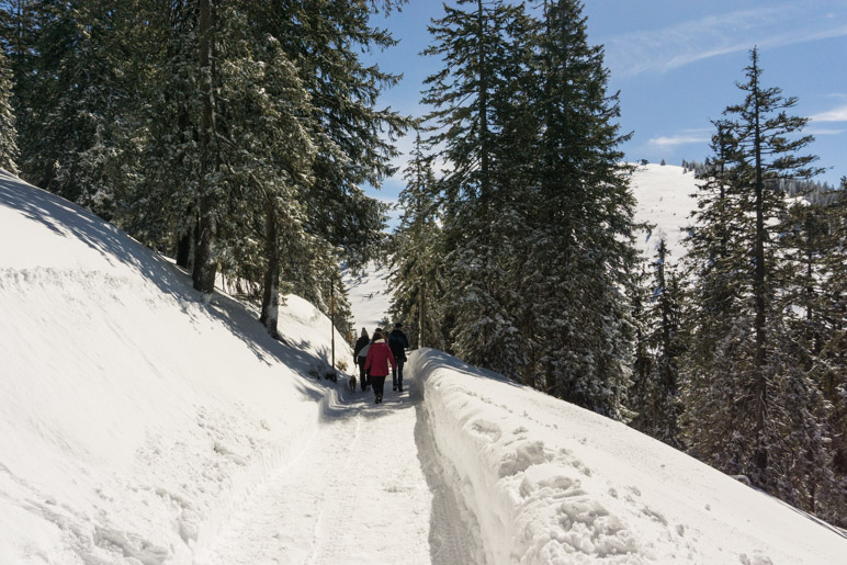 Auf dem Winterwanderweg zur Schlegelmulde