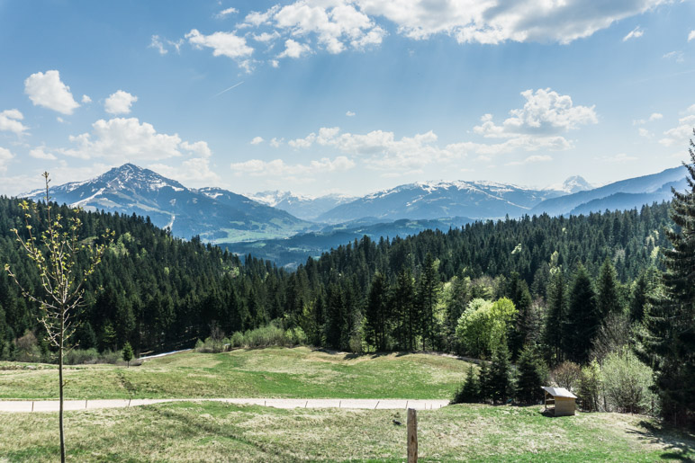 Aussicht auf das Kitzbüheler Horn von der Terrasse