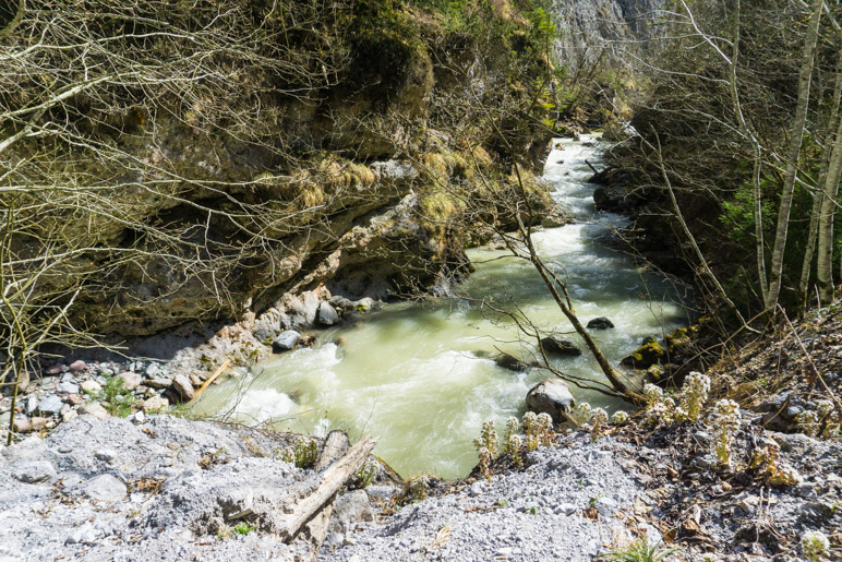 Die Wildschönauer Ache