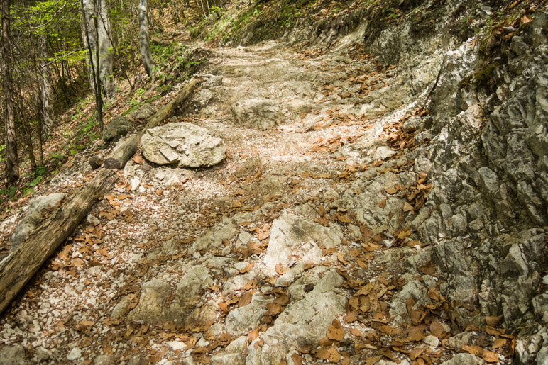 Ein steiniger Abschnitt auf dem Serpentinenweg