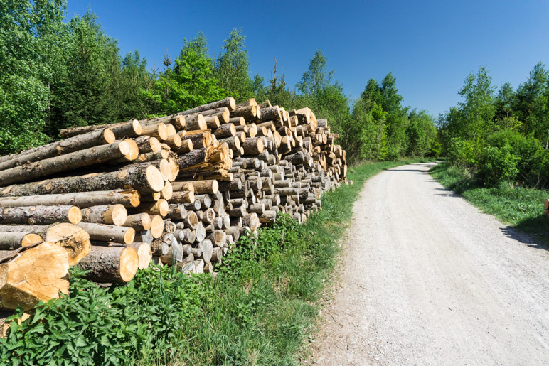 Den Großteil der Strecke wandern wir auf breiten Wegen