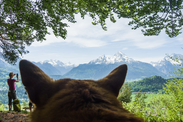 Super Aussicht von der Marxenhöhe, auch Mikki mag das Panorama