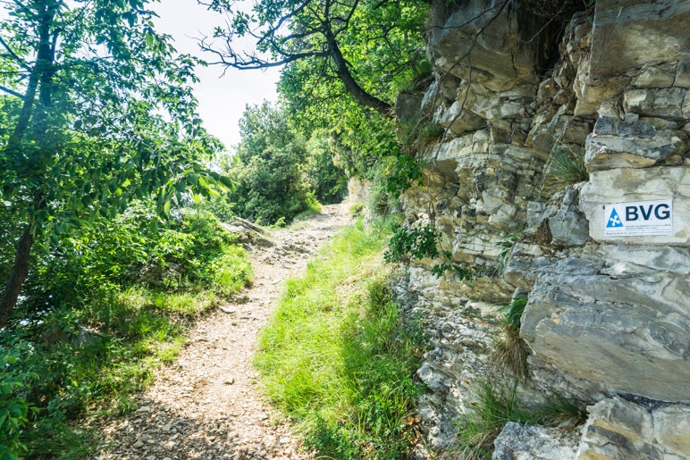 Der Weg entlang der Steilwand. Sieht aus wie ein Waldweg, verläuft aber fast direkt entlang der Abbruchkante