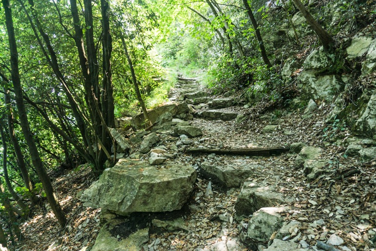 Auf dem steinigen Weg durch den Wald