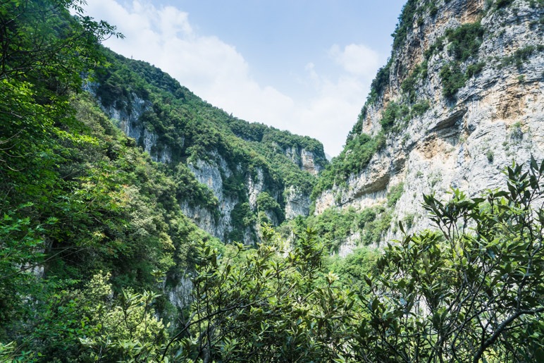 Ein Blick in die Schlucht