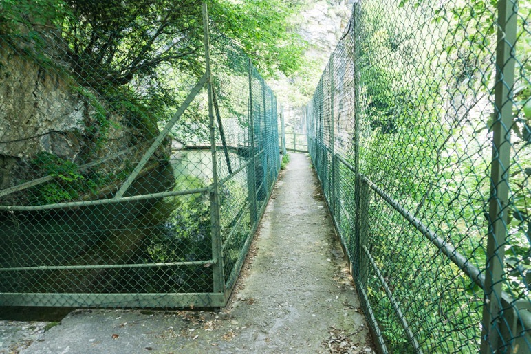 Eine bizarre Mischung aus Natur und Industrie bei den alten Wasserbecken