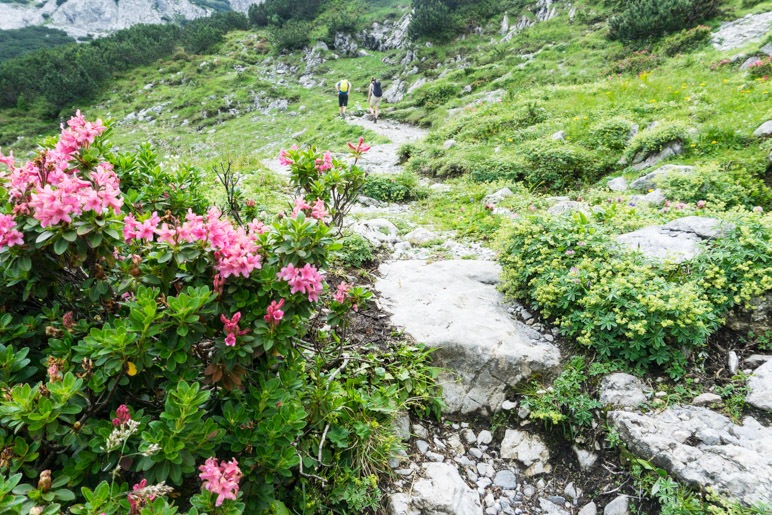 In den Serpentinen zur Coburger Hütte