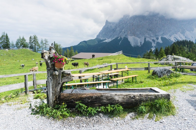 Der Blick zum Wetterstein von der Terrasse der Seebenalm