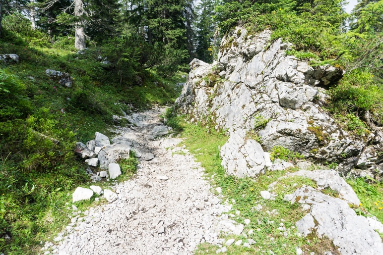 Auf dem Wanderweg