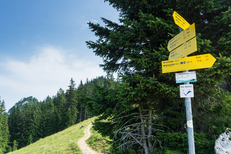 Am Abzweig zum, nicht ausgeschilderten, Friedenrath