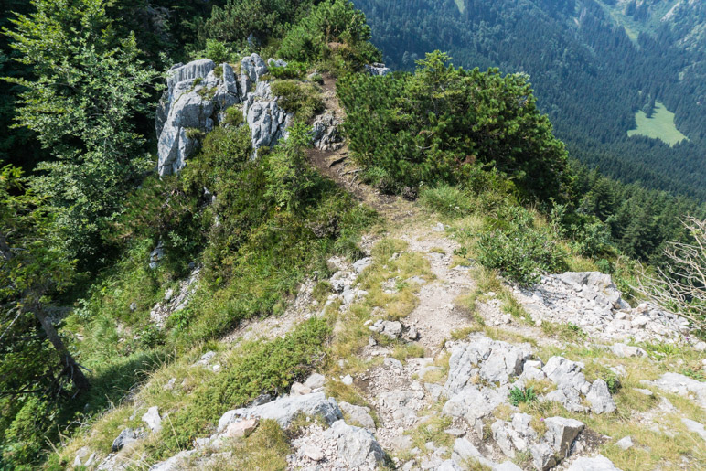 Vom Gipfel geht es auf dem Hinweg wieder zurück zur Wiese