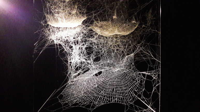 Eines der Spinnennetze von Tomás Saraceno