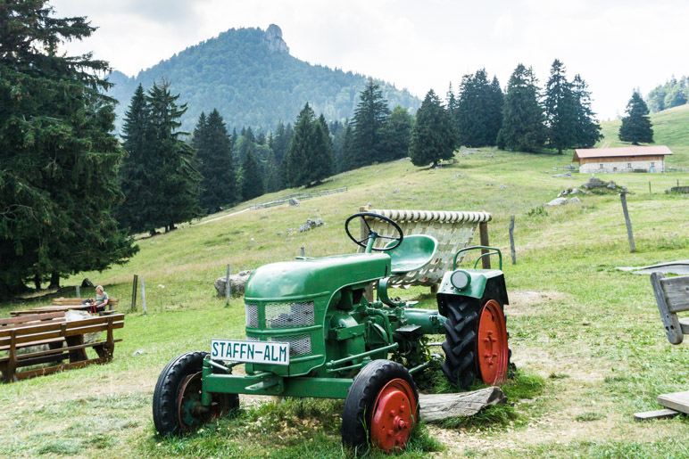 Der berühmte Bulldog auf dem Spielplatz der Staffn-Alm. Im Hintergrund ist der felsige Gipfel des Friedenrath zu sehen