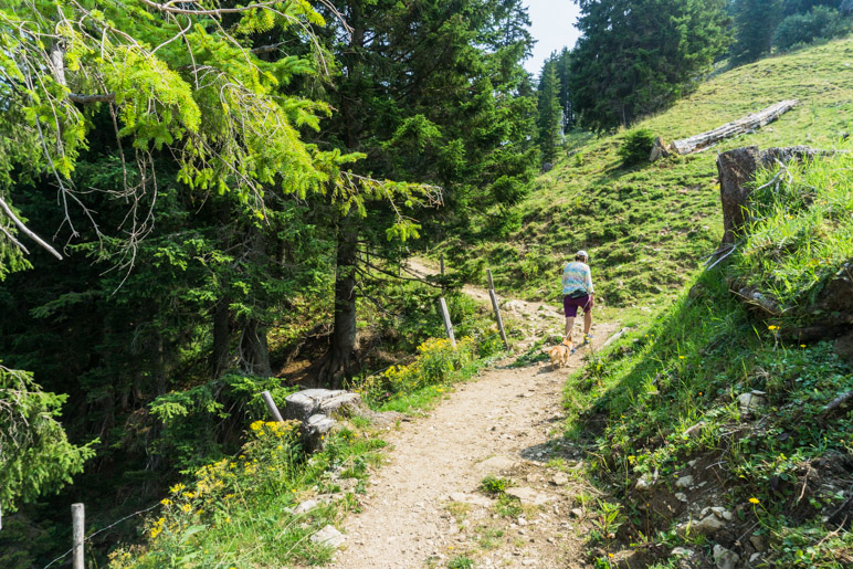 Endlich ein Wanderweg