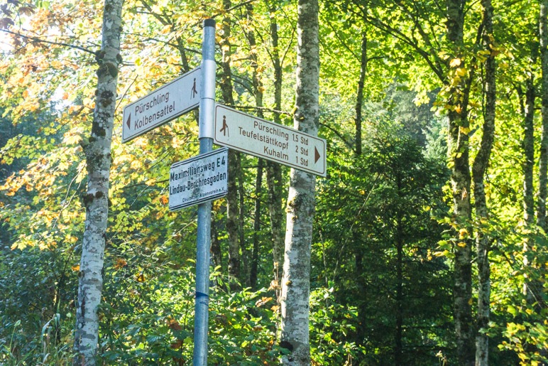 Am Abzweig zum Pürschling halten wir uns rechts Richtung Teufelsstättkopf