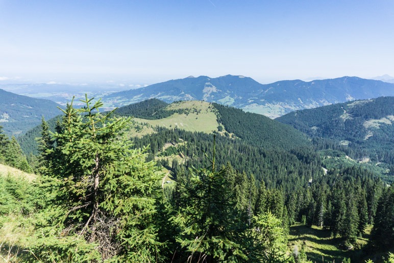 Ein Blick zurück auf die Ammergauer Alpen