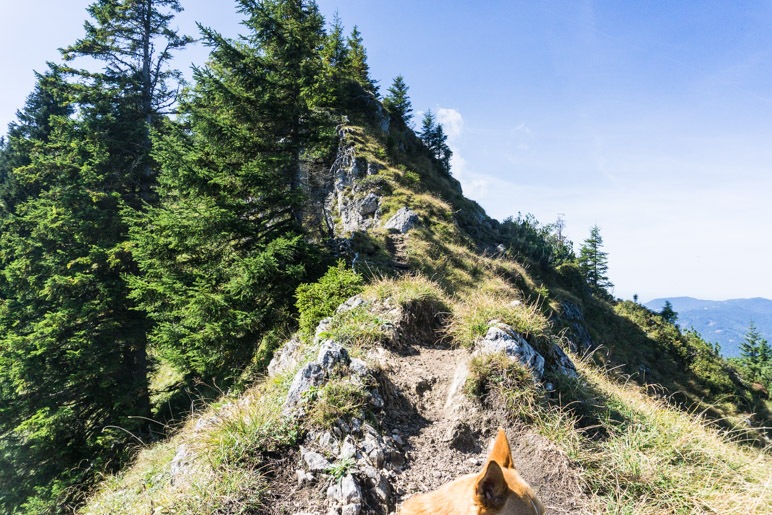 Der Beginn des Gratwegs zum Teufelsstättkopf