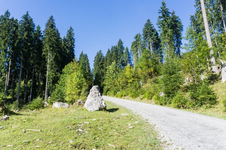 EIn breiter Fahrweg führt hinauf zur Kuhalm