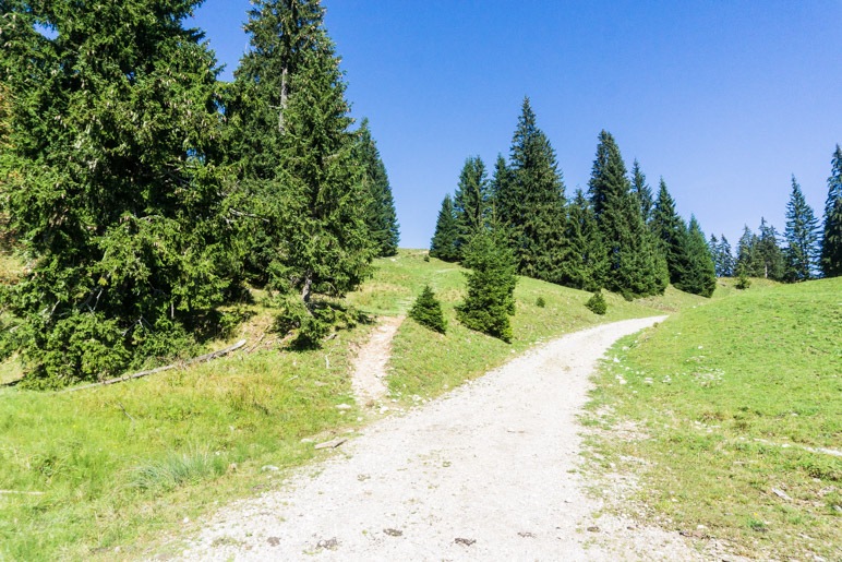 An der Kuhalm wechseln wir auf den schmalen Pfad links