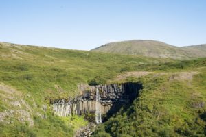 Der Svartifoss und seine grüne Umgebung mit einer runden Bergkuppe im Hintergrund