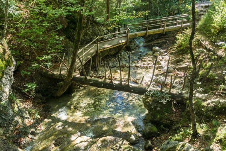 Der Rundweg über die grüne Gumpe mit der Baumstammbrücke