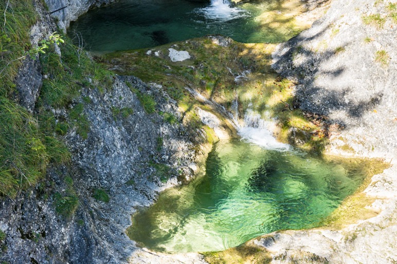 Im Sonnenschein strahlt das Wasser der Gumpe hellgrün