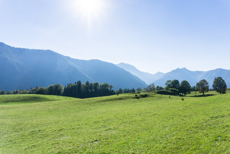 Ein Blick hinüber zu den Schlierseer Bergen