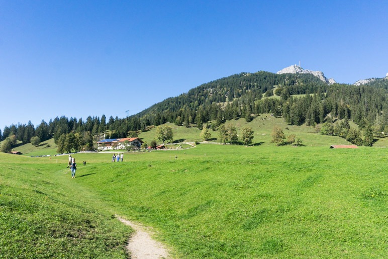 Almwiese, Siglhof und der Wendelstein