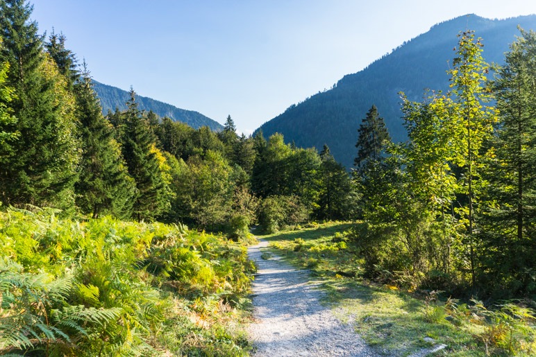 Auf dem Rückweg nach Bayrischzell