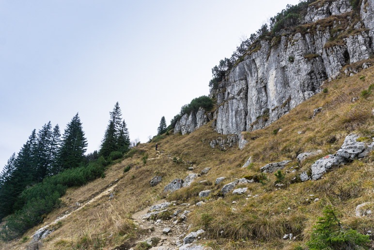 Im Aufstieg zur Bodenschneid