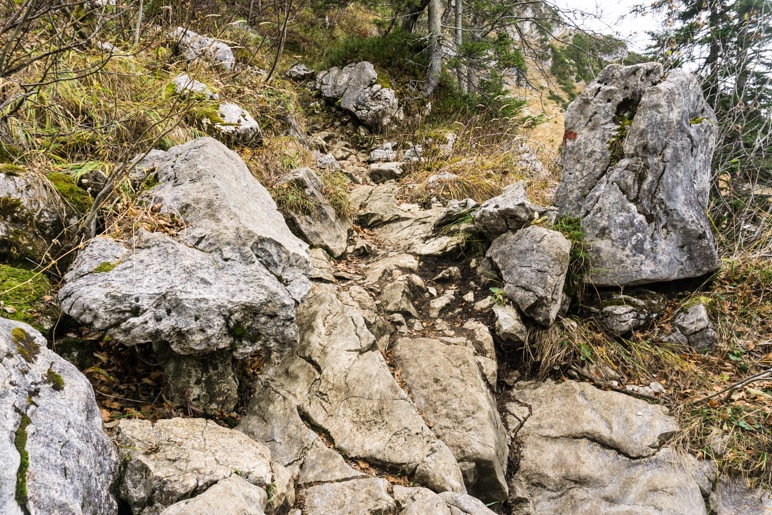 Ein felsiger Abschnitt auf dem Weg zum Gipfel