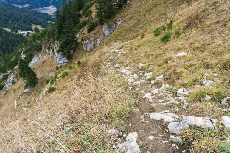 Der steile Abstieg hinunter zu den Firstalmen