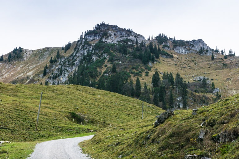 Im Gebiet der Raineralm, kurz vor dem Bodenschneidhaus